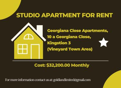 Studio Apartment For Rent in Vineyard Town Kingston 3